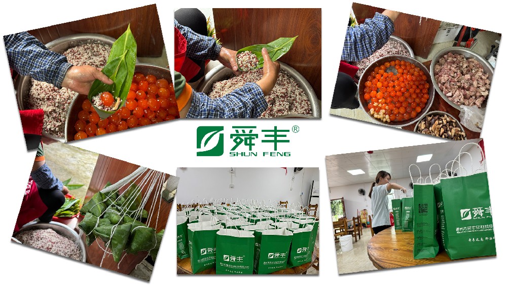 端午粽香濃情獻(xiàn)禮，共筑綠色與溫情的雙重祝福